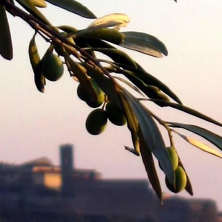 Locanda San Martino A Bocena 3*